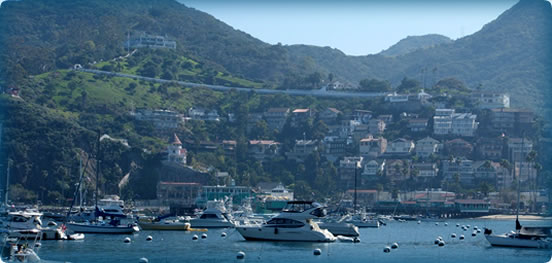 Avalon Harbour